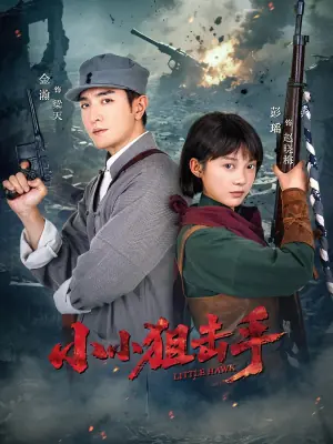 小小狙击手海报