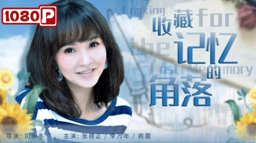 收藏记忆的角落海报