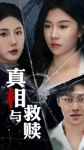 真相与救赎海报