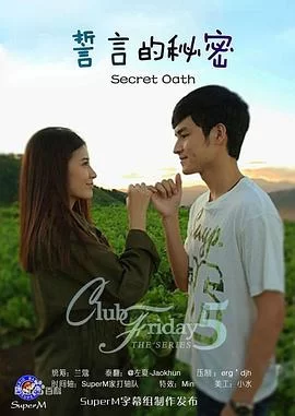 誓言的秘密海报
