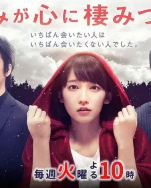 你已藏在我心底海报