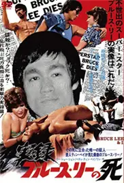 李小龙与我海报