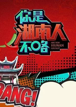 你是湖南人不咯第一季海报