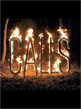 骇人来电(法国版)第一季海报