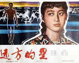 远方的星海报