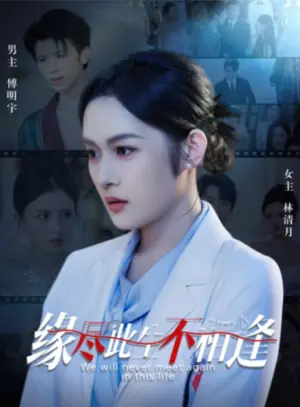 缘尽此生不相逢海报