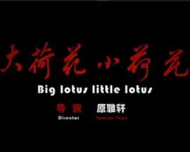 大荷花小荷花海报