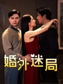 婚外迷局海报