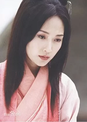 江山美人海报