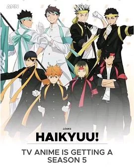 排球少年中配版海报