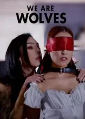 我们是狼海报