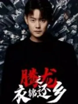 腾龙之衣锦还乡海报