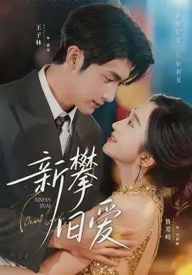 新攀旧爱海报
