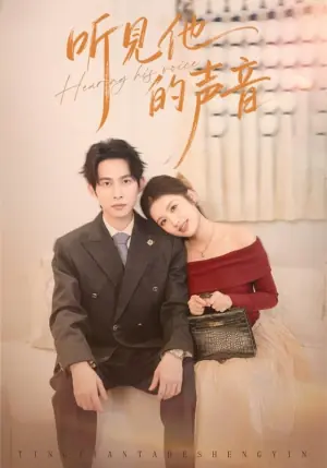 听见他的声音海报