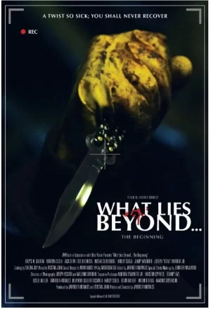 是什么开始越过谎言海报