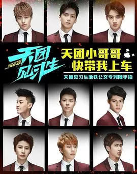 天团见习生海报