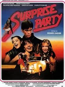 靓妹闯情关海报