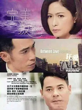 完美叛侣(粤语)海报