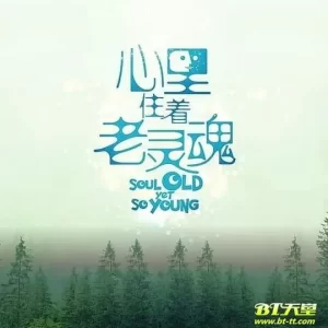 心里住着老灵魂海报