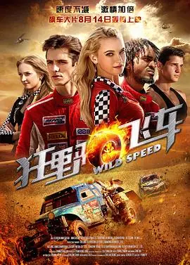 狂野飞车(国语)海报