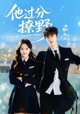 他过分撩野海报