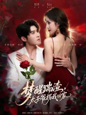 梦醒踹渣,太子爷拐我回家海报