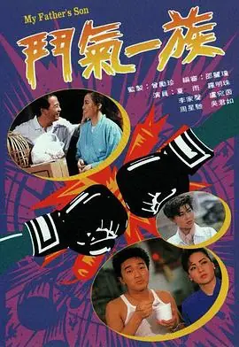 斗气一族(国语)海报