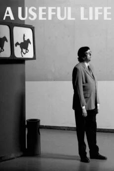 有用的人生海报