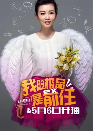 极品女士第一季海报