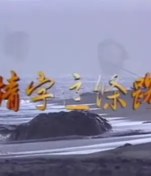 情字这条路海报