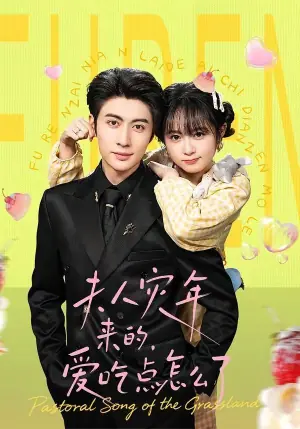 夫人灾年来的,爱吃点怎么了海报