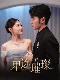 星途璀璨海报