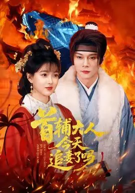 首辅大人今天追妻了吗海报
