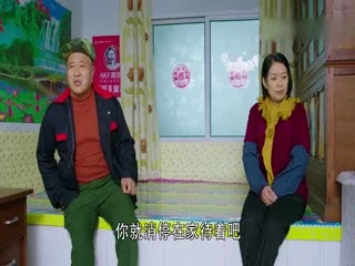 乡村爱情9(下)海报