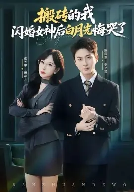 搬砖的我,闪婚女神后白月光悔哭了海报