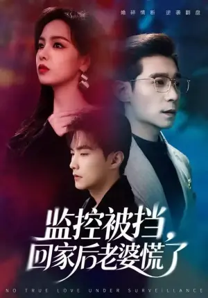 监控被挡,回家后老婆慌了海报