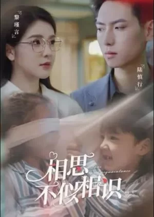 相思不似相识海报