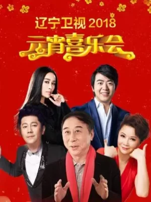 辽宁卫视元宵喜乐会2018海报
