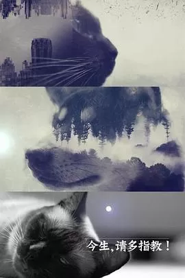 今生,请多指教第二季海报