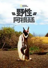 国家地理野性阿根廷海报