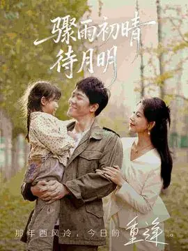 骤雨初晴待月明海报