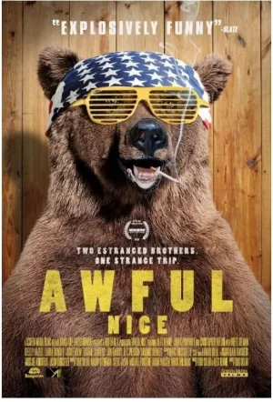 可怕的尼斯海报