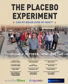 地平线系列:安慰剂试验海报