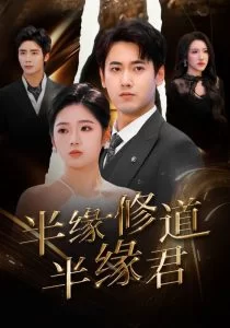 半缘修道半缘君海报