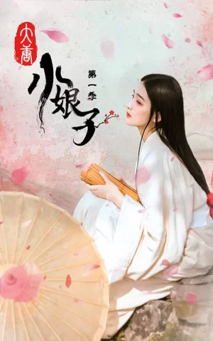 大唐小娘子第一季海报