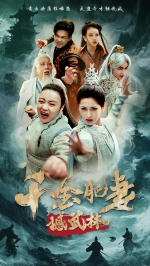 千金肥妻撼武林海报