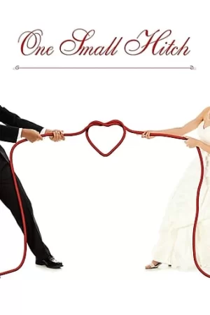 恰巧的爱情海报