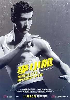 李小龙我的兄弟(国语)海报