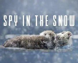 冰雪间谍海报