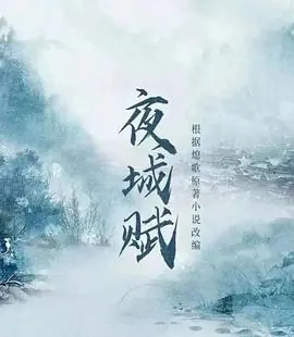 夜城赋海报